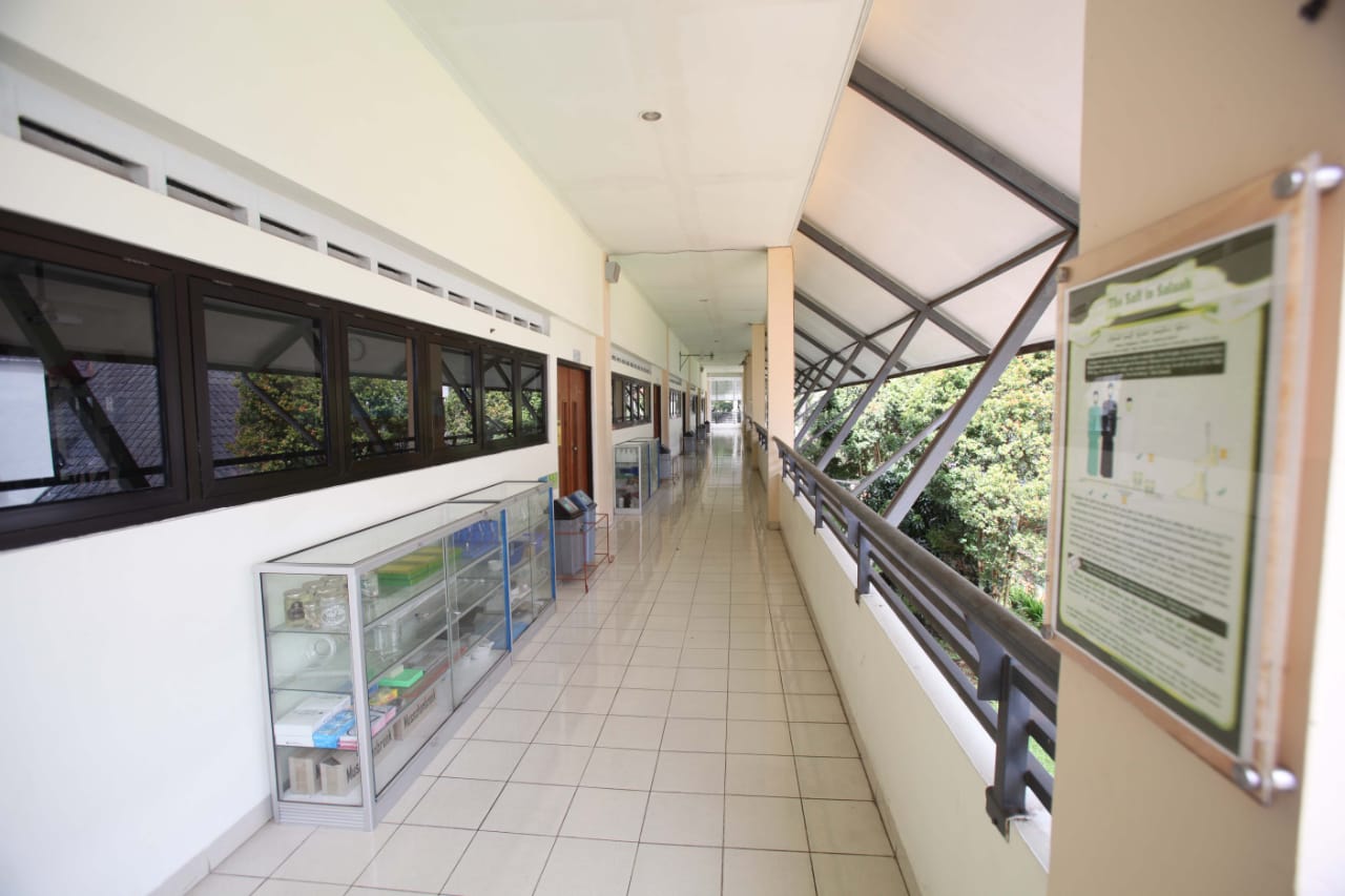 WhatsApp Image 2021-08-29 at 07.18.02